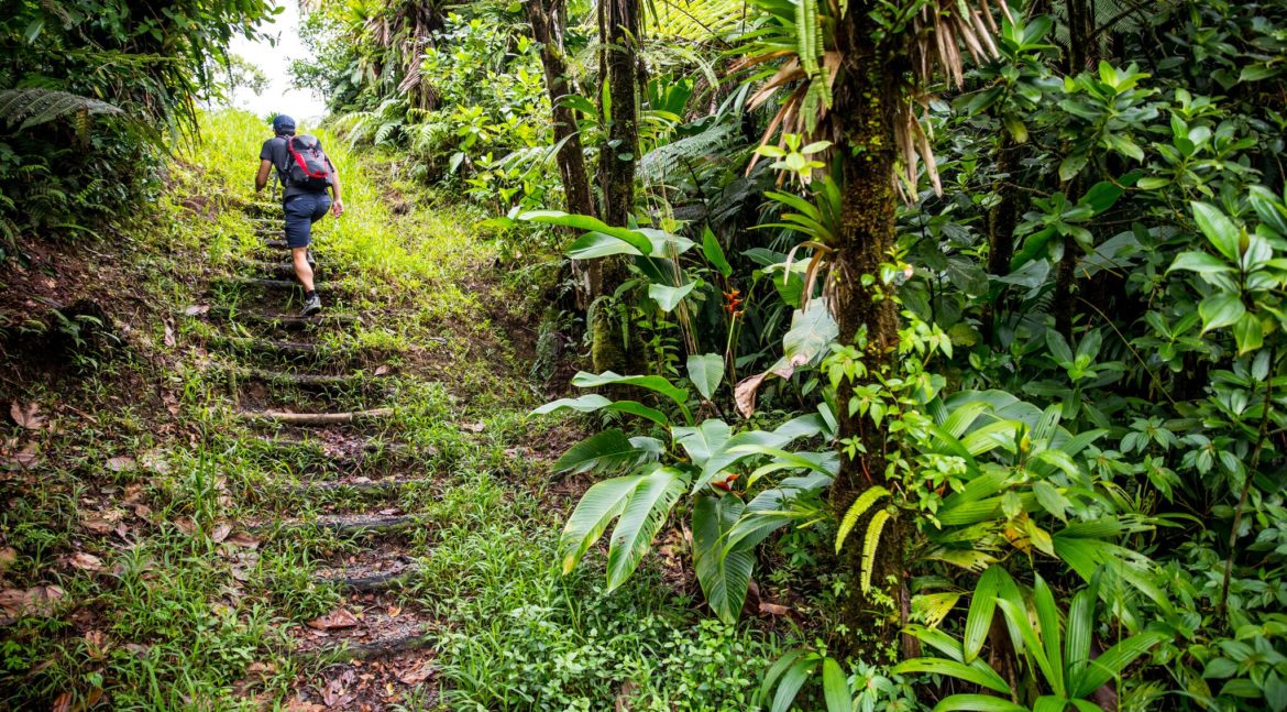 Man Hiking