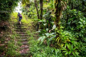 Man Hiking