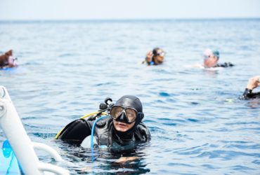 Caribbean Dive Rates & Specials